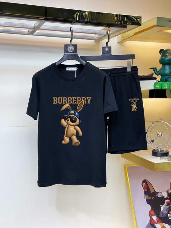 Picture of Burberry Shirt Pant Suits _SKUBurberryM-5XLkdtn7220667